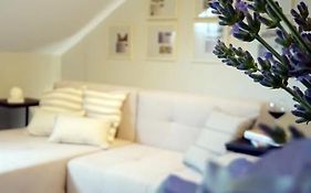 Petite Grey Apartment With Free Private Parking