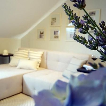 Petite Grey Apartment With Free Private Parking Zagreb Exterior foto